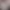 خلاصه کتاب آناکارنینا نوشته لئو تولستوی ترجمه مشفق همدانی