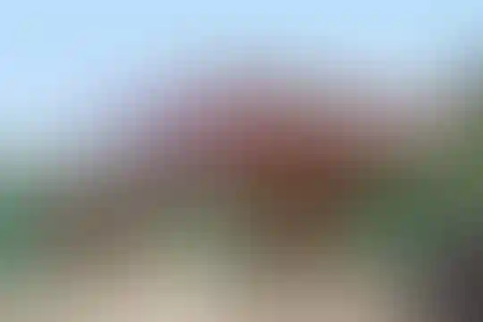 اطهر