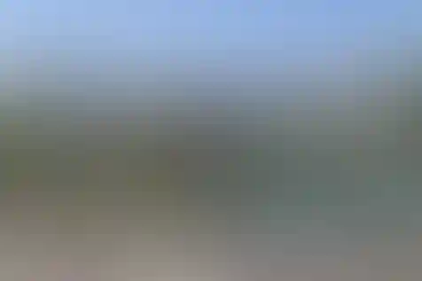 یاس نبی