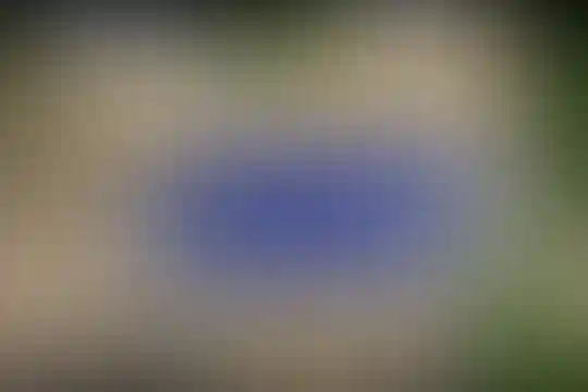 علامه حلی 10
