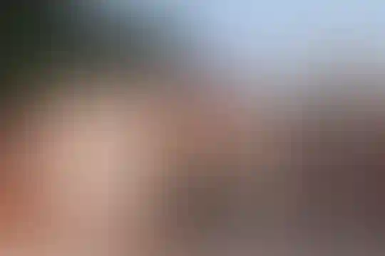 آیت اله شب زنده دار