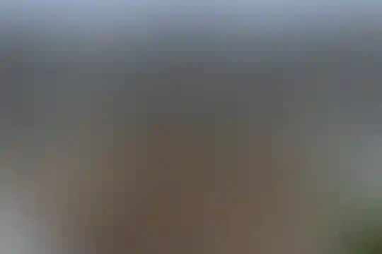 نور موعود