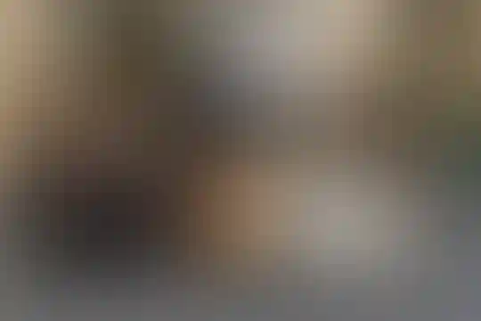 فرّ دانش