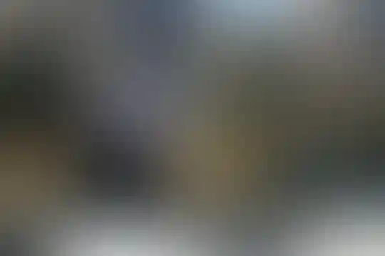 فرّ دانش