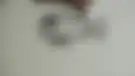 آموزش نقاشی یک ماهی به زبان انگلیسی