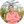 سعید تاجی اشکفتکی